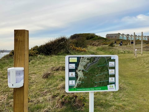 Trim trail in rough gorse field next to playing field