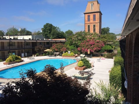 Pool/Courtyard