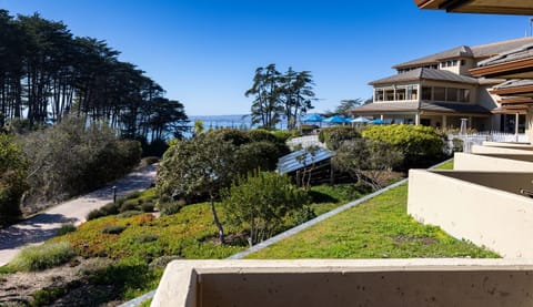 View from Balcony 