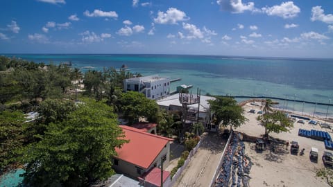 Aerial View (1)