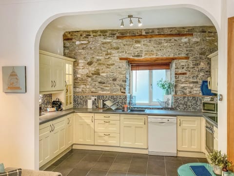 Kitchen | The Nest, Llandeilo