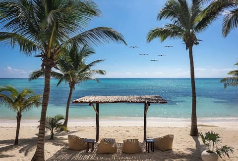 
Beachfront studio at Soliman Bay with stunning ocean view and private plunge pool