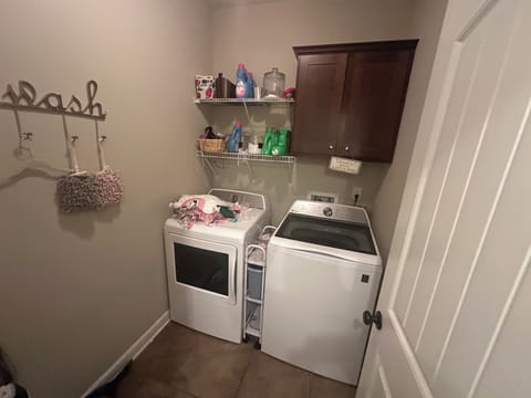 Laundry room stocked with detergent, fabric softener, and dryer sheets.