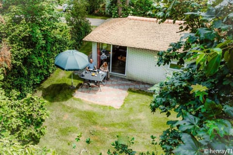 Garden [summer]