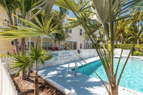 Poolside Palms