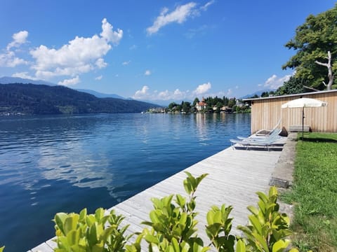 Landhaus Pleikner - Holiday apartment with garden Apartment in Spittal an der Drau