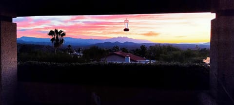 Early morning scene from patio