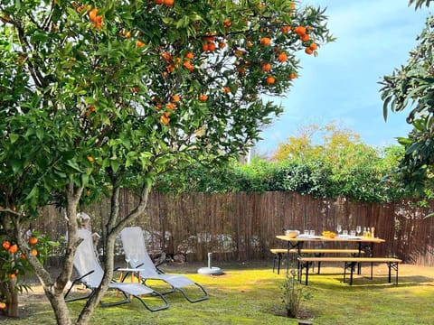 Jardim