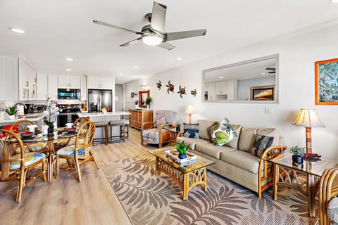 Silent ceiling fan and Window A/C unit in the living room