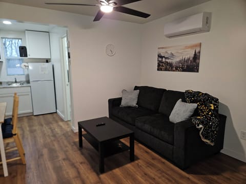 living room, sofa unfolds into queen size bed 