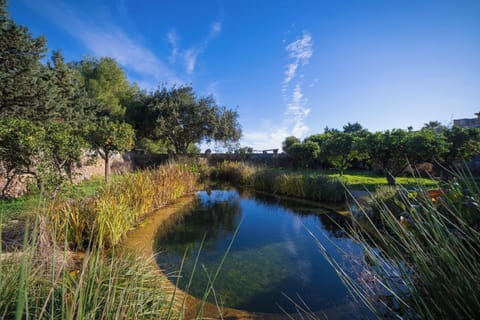Private natural bio pool to swim in