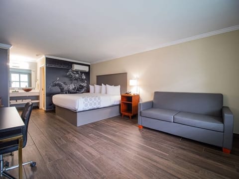 Stretch out in a spacious studio with lounge-ready comfort.