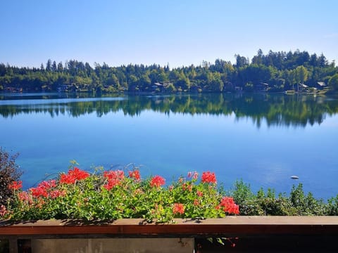 Double room with balcony - Seepension Smoley *** Bed and Breakfast in Villach