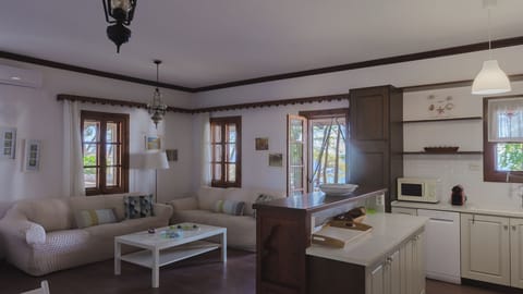 Squirrel BeachFront Villa, Metamorfosi (25)