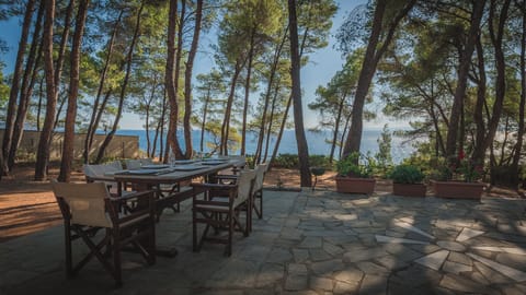 Squirrel BeachFront Villa, Metamorfosi (1)