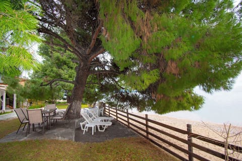 Barlee BeachFront GroundFloor Apartment, Metamorfosi (1)