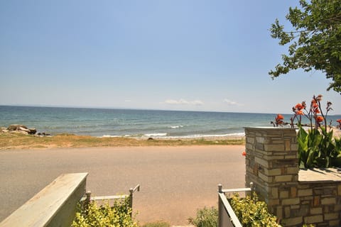 Lemon 2 Sea Side Ground Floor Apartment, Nikiti (1)