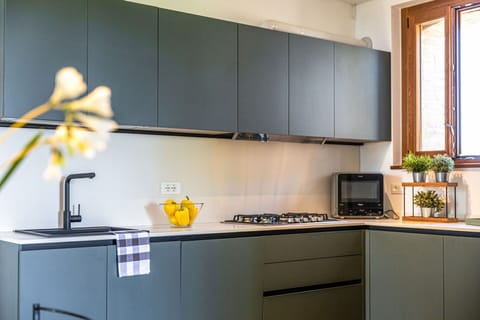 Kitchen, Kitchen Appliance, Countertop, Interior Design, Major Appliance, Cabinetry, Home Appliance, Kitchen Stove, Furniture, Home