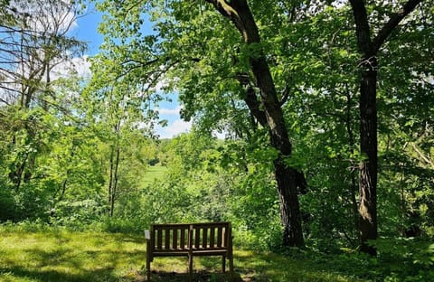 Backyard looking into Willow State Park