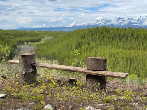 View from short  Look out Hike