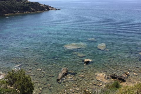 Il Polpetto Apartment Apartment in Capoliveri