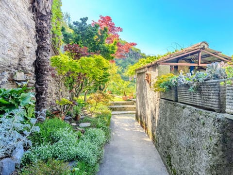 Green, Wall, Leaf, Vegetation, Shrub, Garden, Groundcover, Spring, Stone Wall