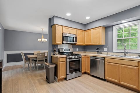 Stainless steel gas stove