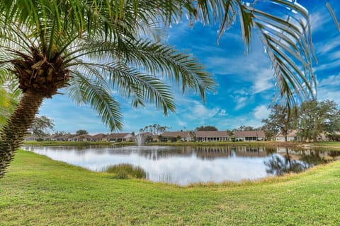 Beautiful Pond Behind House