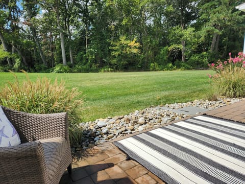 Patio overlooking yard and forest with 3 mile loop trail