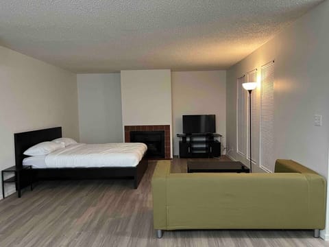 Open Space Living Room Suite with One Bed