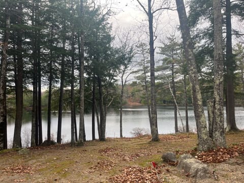 view of pond from home