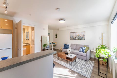 Living room with sofa bed