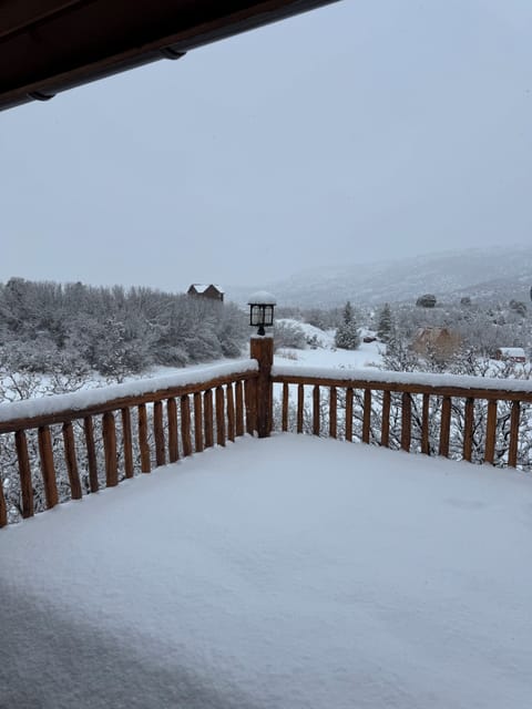 Winter white morning