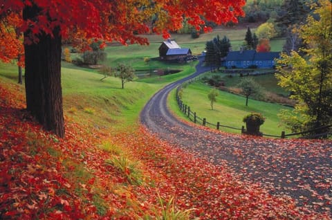 Scenic drives and hikes surrounded by vibrant autumn colors for fall foliage.