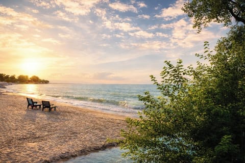 A serene sandy shoreline awaits, with calming waves lapping at the edge. The picturesque view invites guests to relax, explore, or simply take in the beauty of the open water.