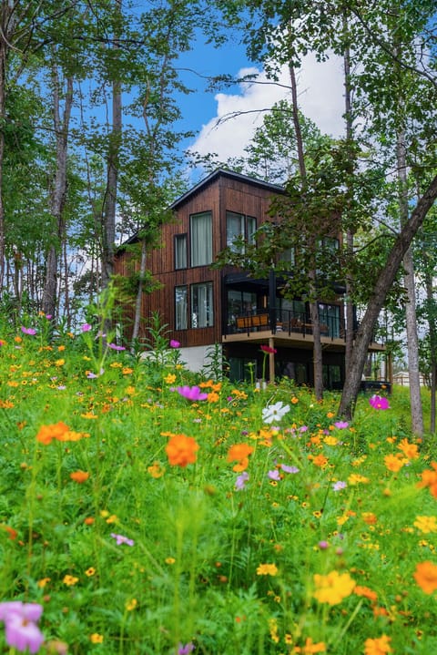 Our beautiful seasonal wild flowers