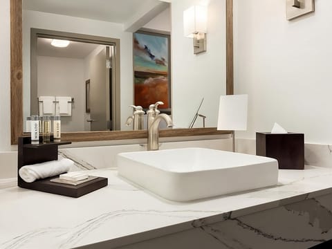 Refresh at the modern vessel sink with spa-like finishes.