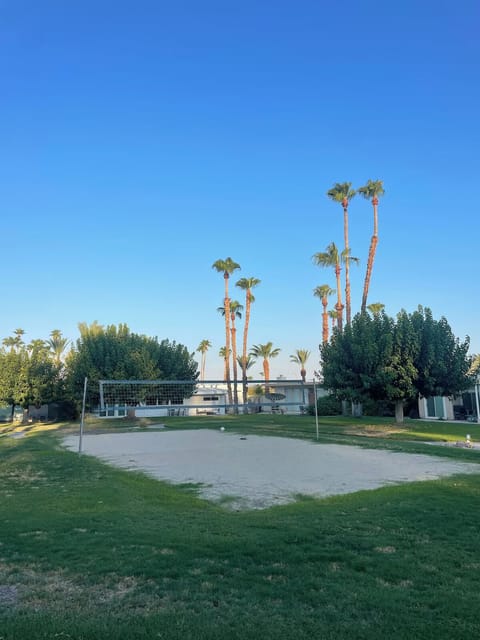 Sand volleyball court adjacent to the pool allows quick cooling plunges