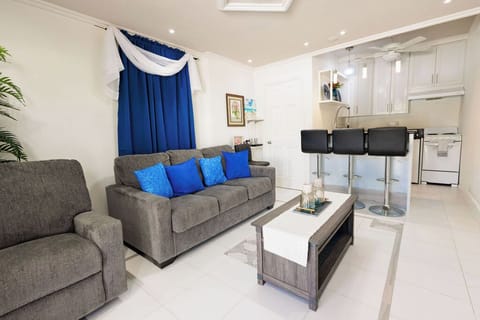 Living Room area/mini Bar top, Kitchenette