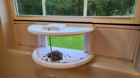 Indoor Bird Feeder