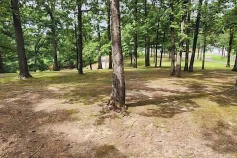 Bfdb505c 07e6 43eb b657 c9579b87d9db