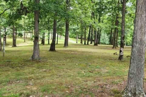 6eb43e1b 3586 417a ba06 8bd269cf614a