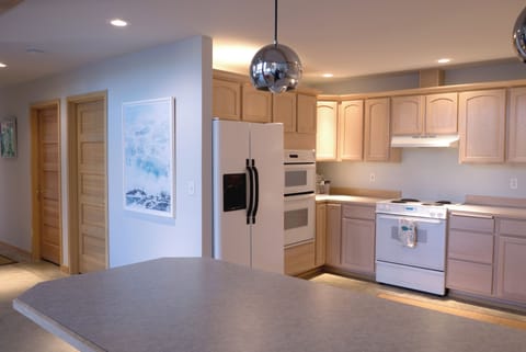 Kitchen - double ovens, microwave, dishwasher and large fridge