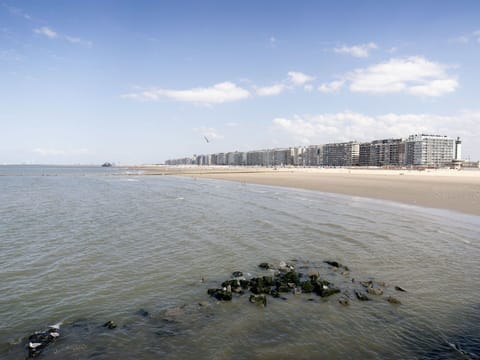 Daytime, Water, Horizon, Coast, Sea, Landscape, Coastal And Oceanic Landforms, Beach, Shore