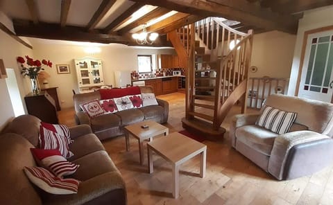 Rez de chaussée - Salon / Salle a manger / cuisine