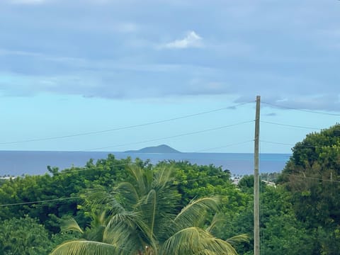 Buck Island View
