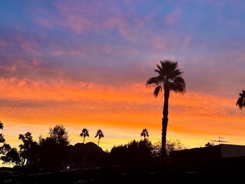 Phoenix Sunrise
