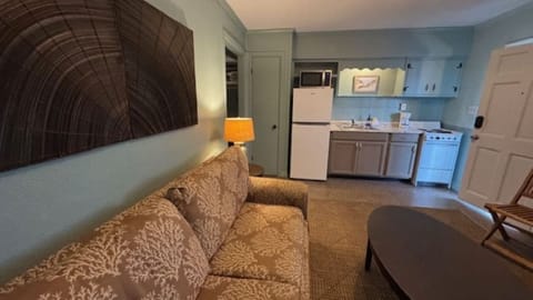 Living Room looking into Kitchenette