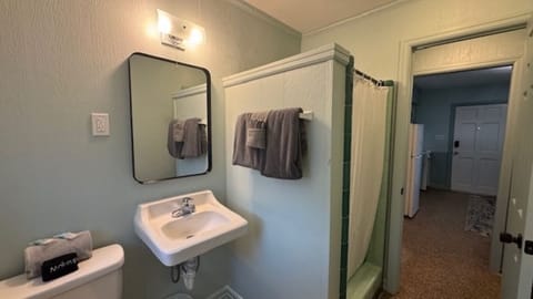 Bathroom w Shower