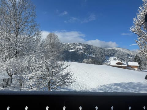 view from balcony on a clear winter day (winter1 )